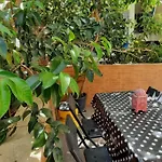 Charming Sunny Terrace / One Bedroom Apartment
